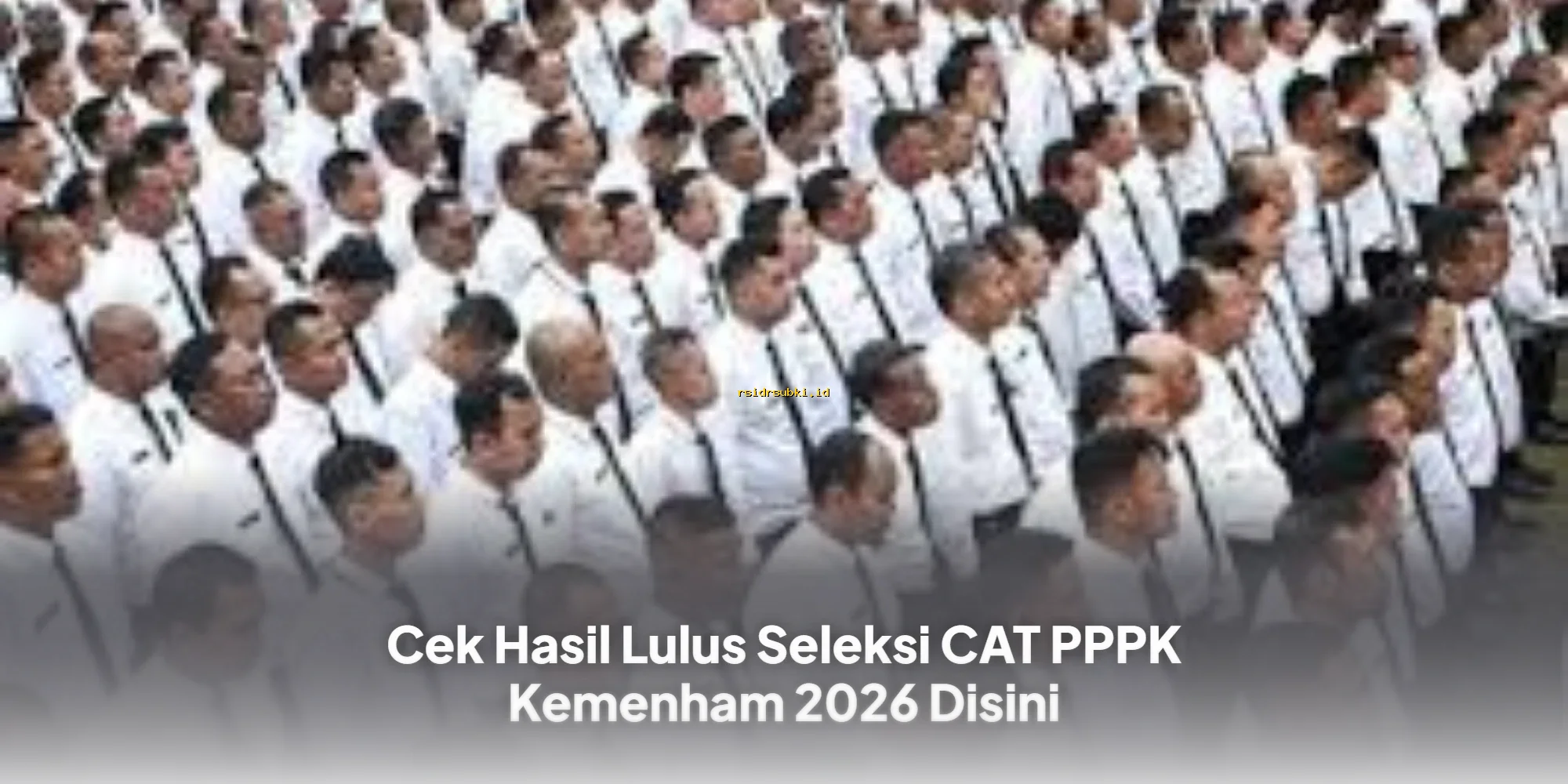 Hasil Lulus CAT PPPK Kemenham 2026: Cek Sekarang Juga!