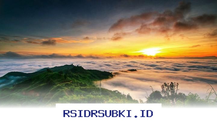 Destinasi Wisata Jambi yang Paling Banyak Dikunjungi, Cocok untuk Liburan Seru!