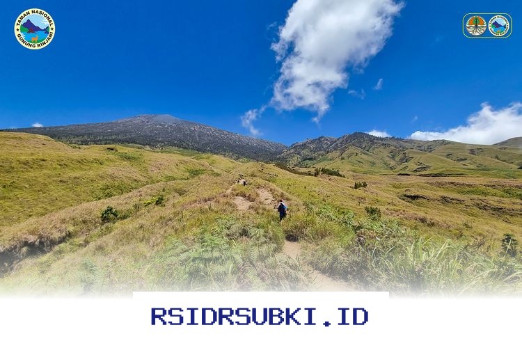 Destinasi Wisata Lombok yang Sedang Naik Daun dan Harus Anda Coba Sekarang Juga!