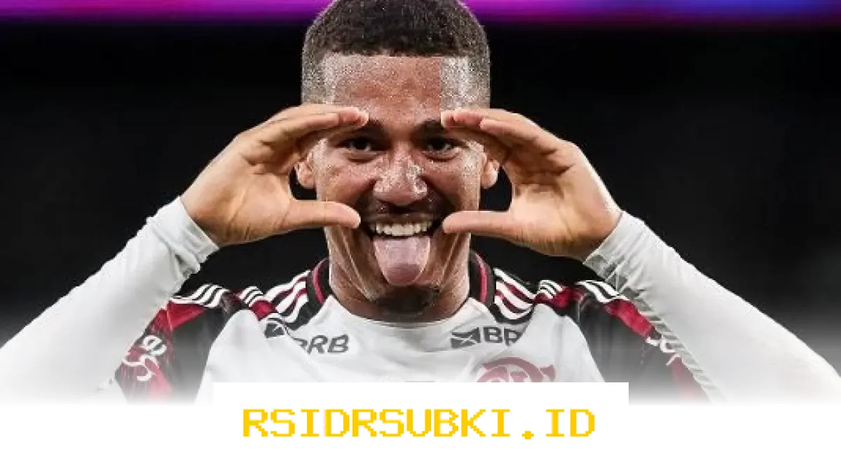 Flamengo Menang Telak 3-0, Botafogo Makin Tenggelam dalam Krisis Parah!