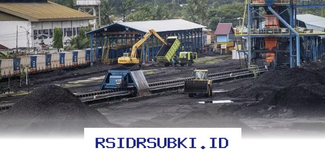 Pasokan Batu Bara PLN Dipastikan Aman Sampai Agustus 2026, Ini Kata Ahli!