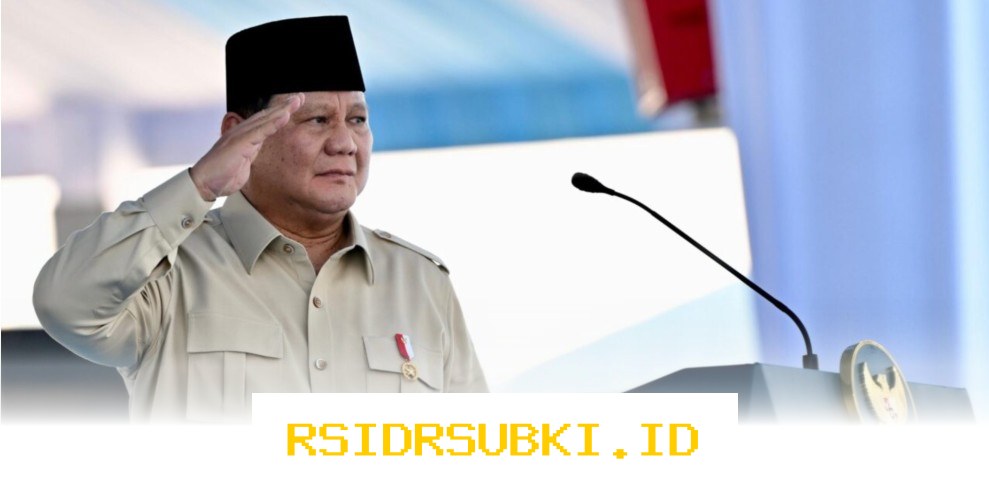 Presiden Prabowo Hadiri Pertemuan Strategis dengan Jepang, Ini yang Dibahas!